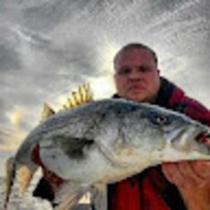 Meet your Posher, Peter